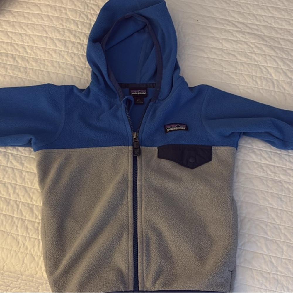 Patagonia toddle snap t fleece